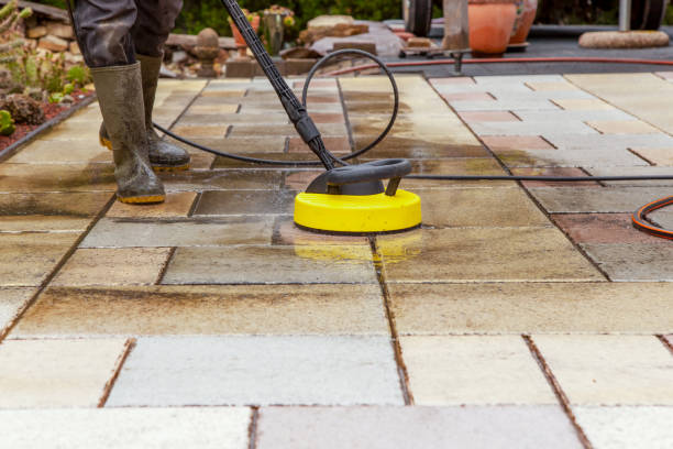 Best Residential House Exterior Washing  in New Haven, WV