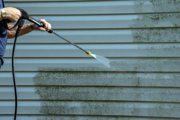 Best Sidewalk and Walkway Cleaning  in New Haven, WV